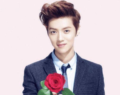 鹿晗学生爆料是真的吗视频,鹿晗学生爆料视频真实性揭秘